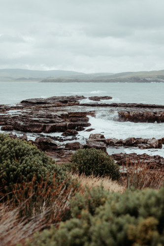 Catlins-37